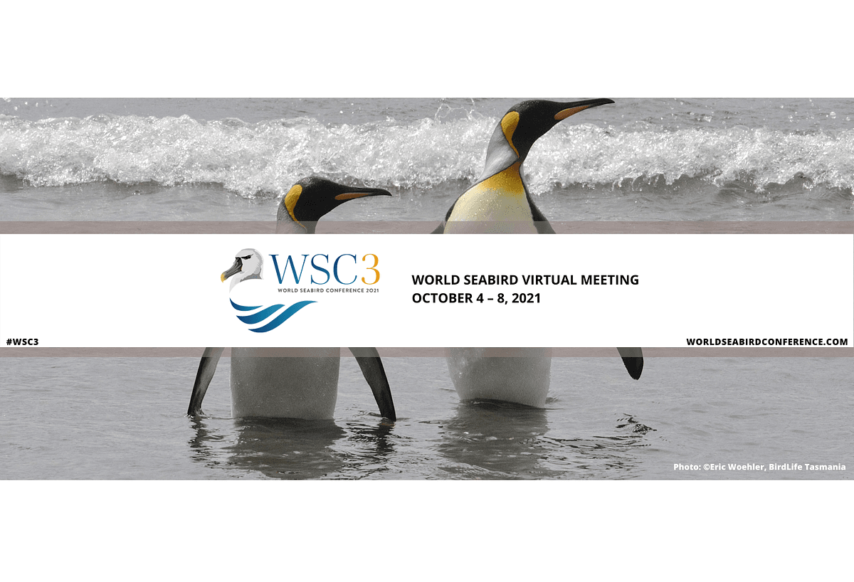 3rd World Seabird Conference