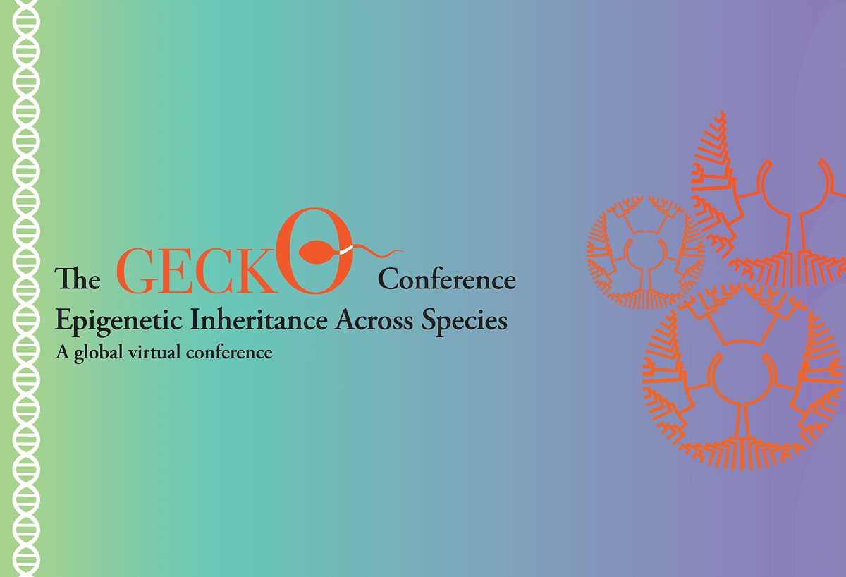 GECKO Conference 2021