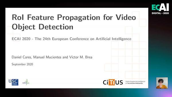 RoI Feature Propagation for Video Object Detection