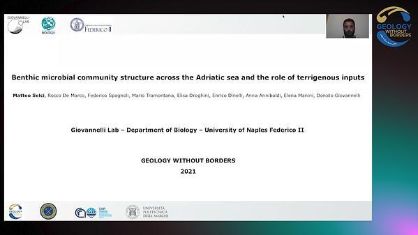 Benthic microbial community structure across the Adriatic sea and the role of terrigenous inputs