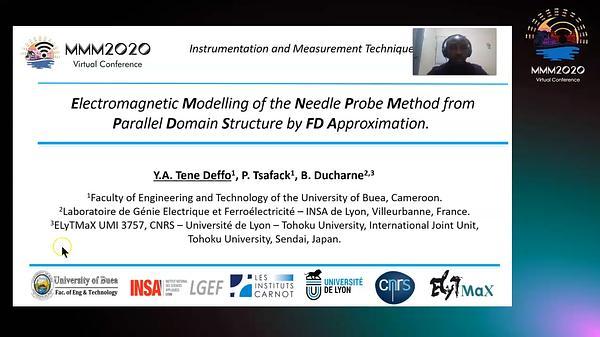 Electromagnetic Modelling of the Magnetic Needle Probe Method from Parallel Domain Structure by FD Approximation